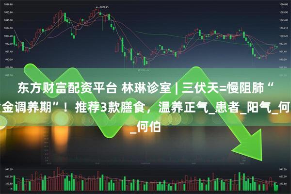 东方财富配资平台 林琳诊室 | 三伏天=慢阻肺“黄金调养期”！推荐3款膳食，温养正气_患者_阳气_何伯