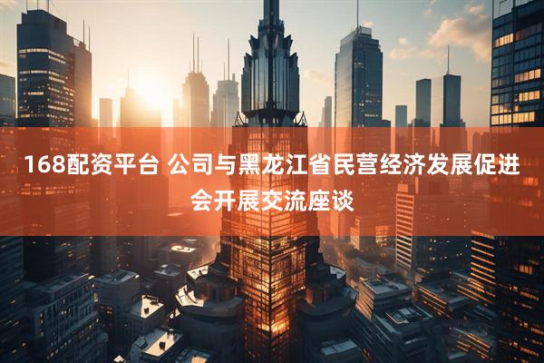 168配资平台 公司与黑龙江省民营经济发展促进会开展交流座谈